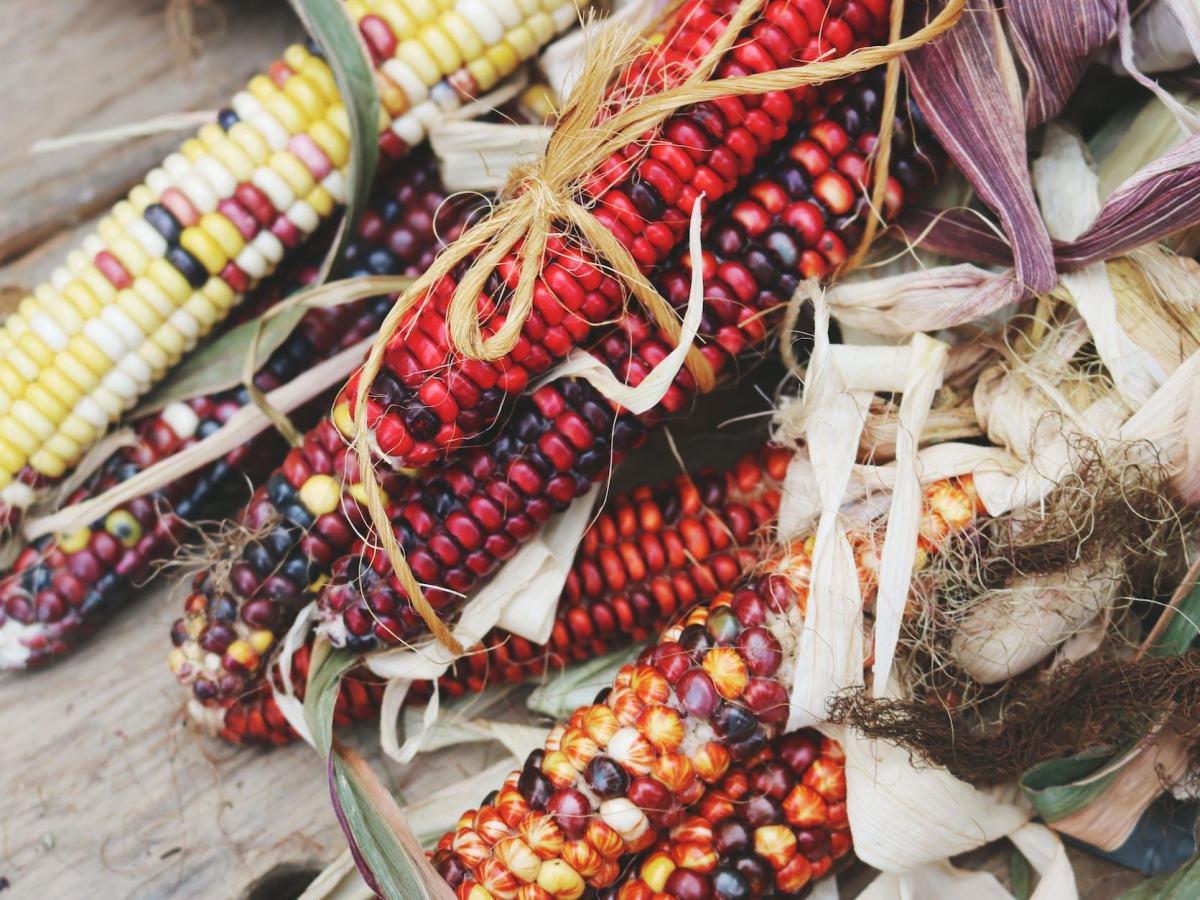 Craft a Corn Dolly for Lughnasadh: A Pagan Harvest Tradition