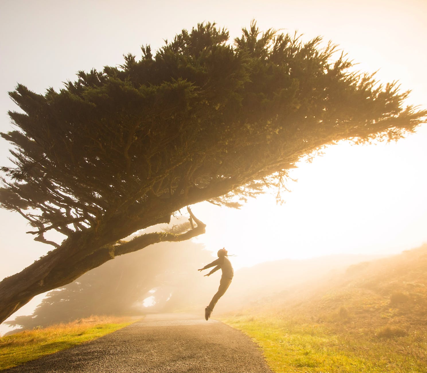 a person looks like they are defying gravity beneath a tree, illustrating the potentials of visualization and guided imagery 
