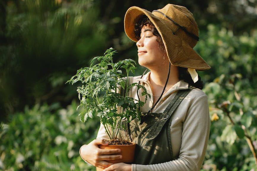 smiling ethnic gardener with plant on sunny day