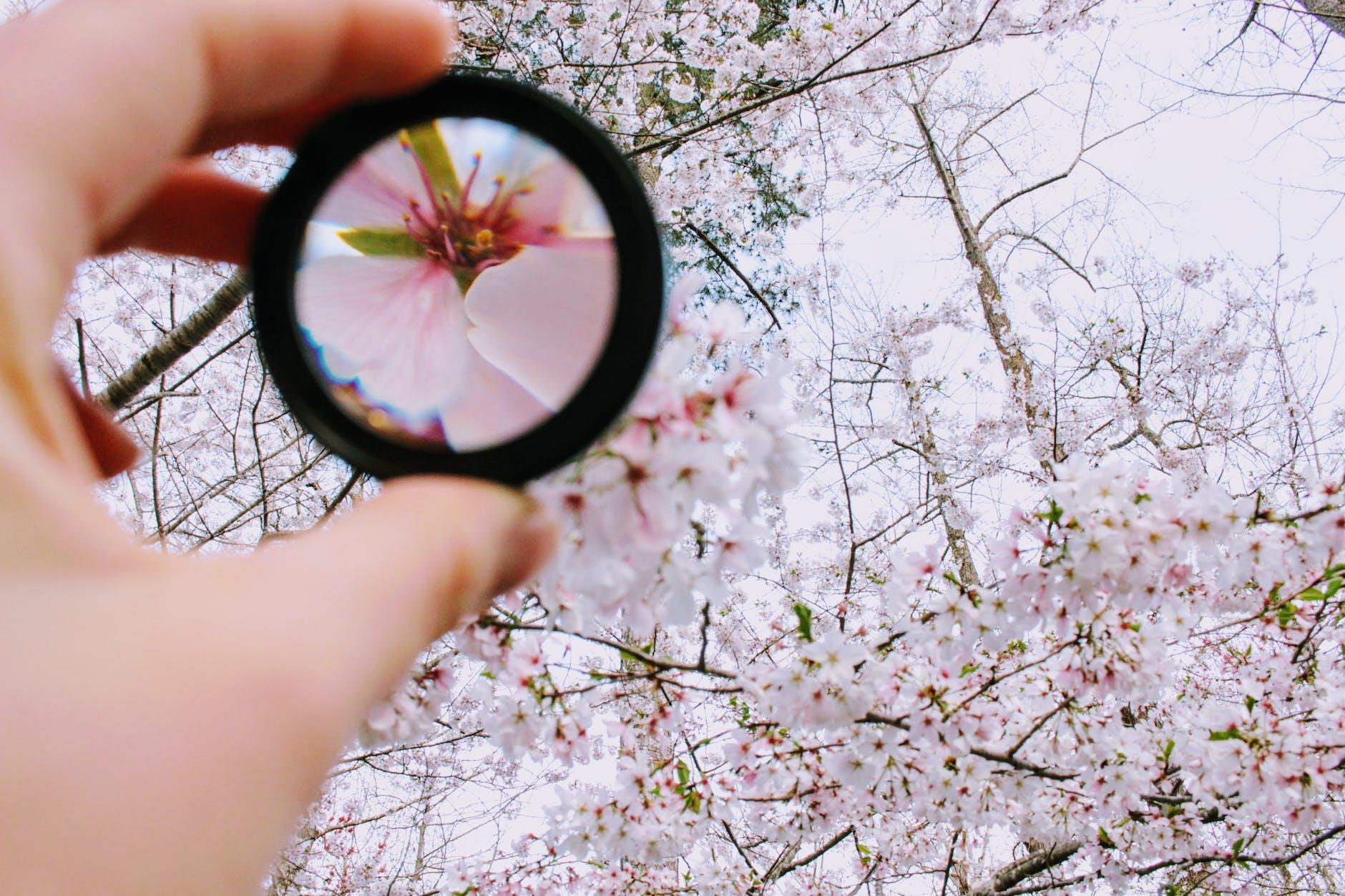 Mindfulness Practice: 6 Keys to Awareness & Inner Clarity