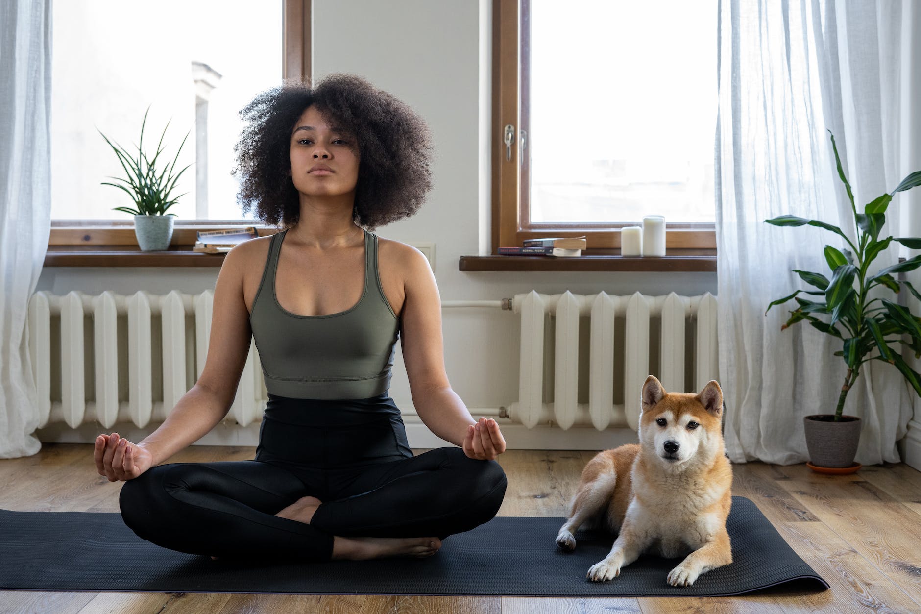 Woman meditating with her dog, illustrating Lion’s Gate Portal, Sirius star astrology, Lion's Gate spiritual meaning, manifestation rituals, and Lion's Gate rituals for spiritual transformation