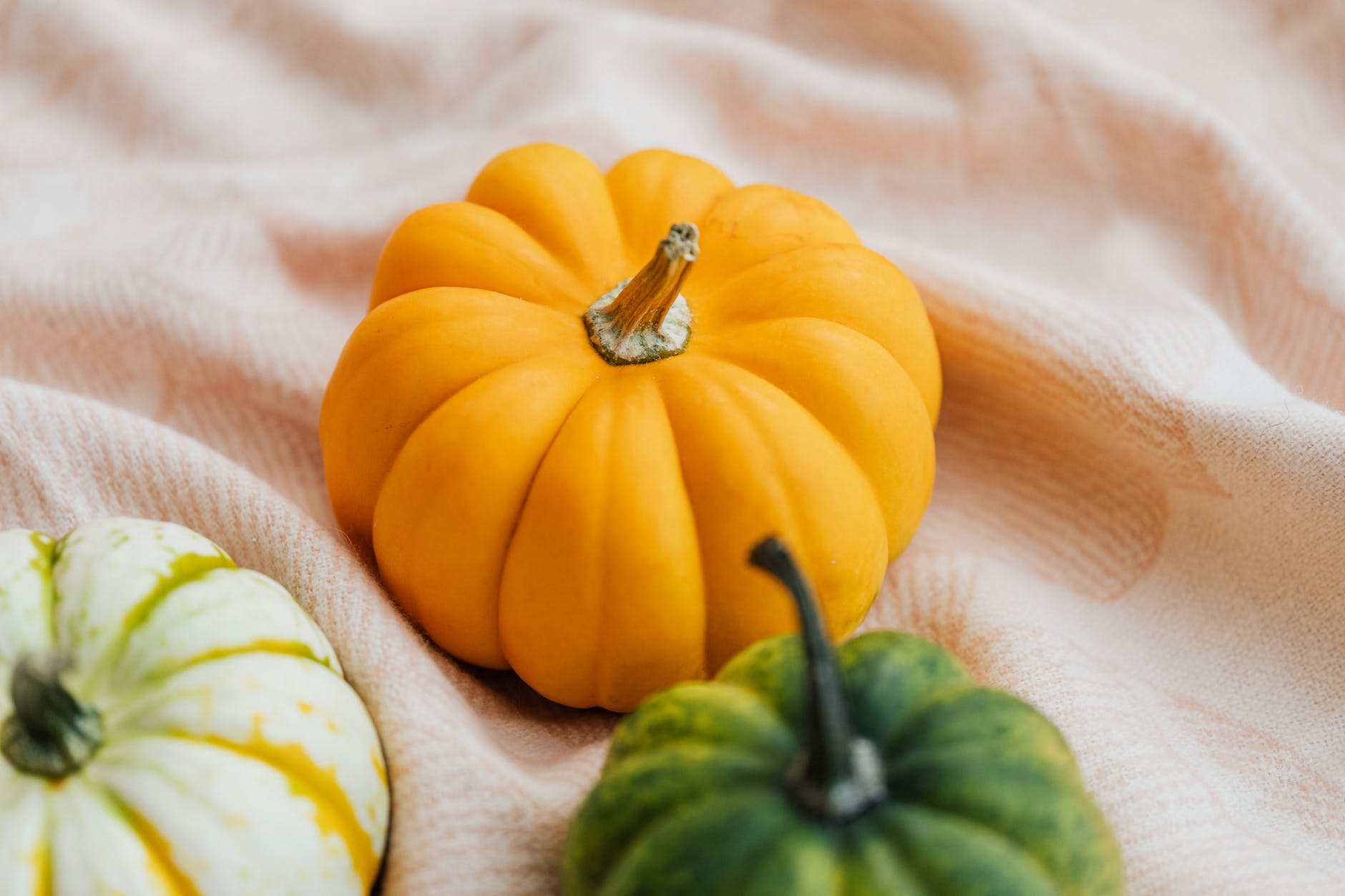 ornamental pumpkins