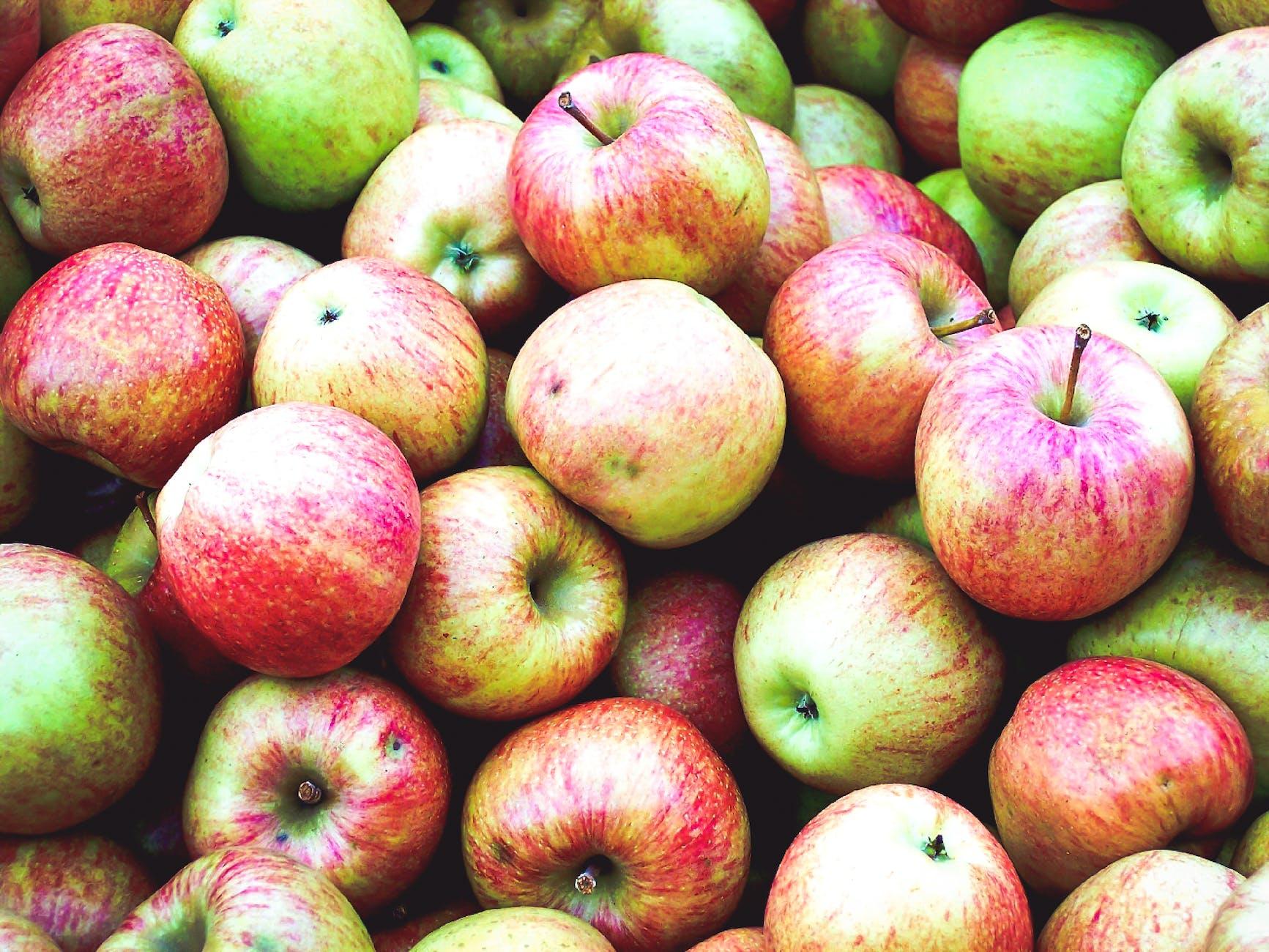 abundant harvest a pile of crisp stayman winesap apples