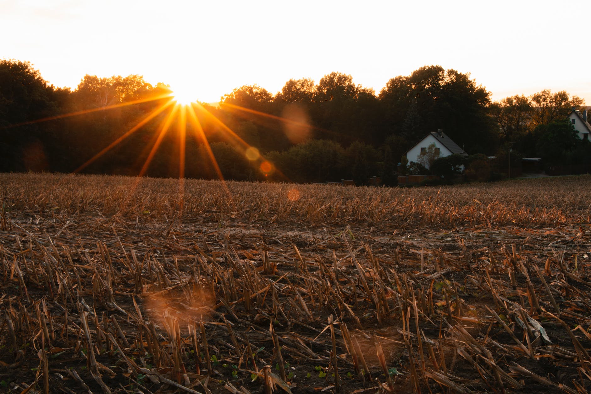 Mystical Mabon: Honoring Harvest & the Autumn Equinox