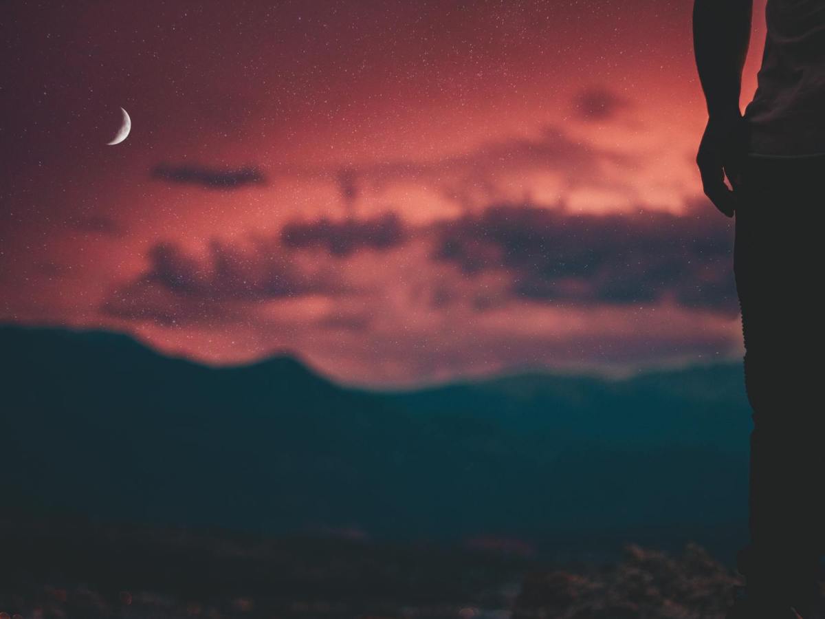 Synced to Lunar Rhythms: How the Moon Affects Life on Earth