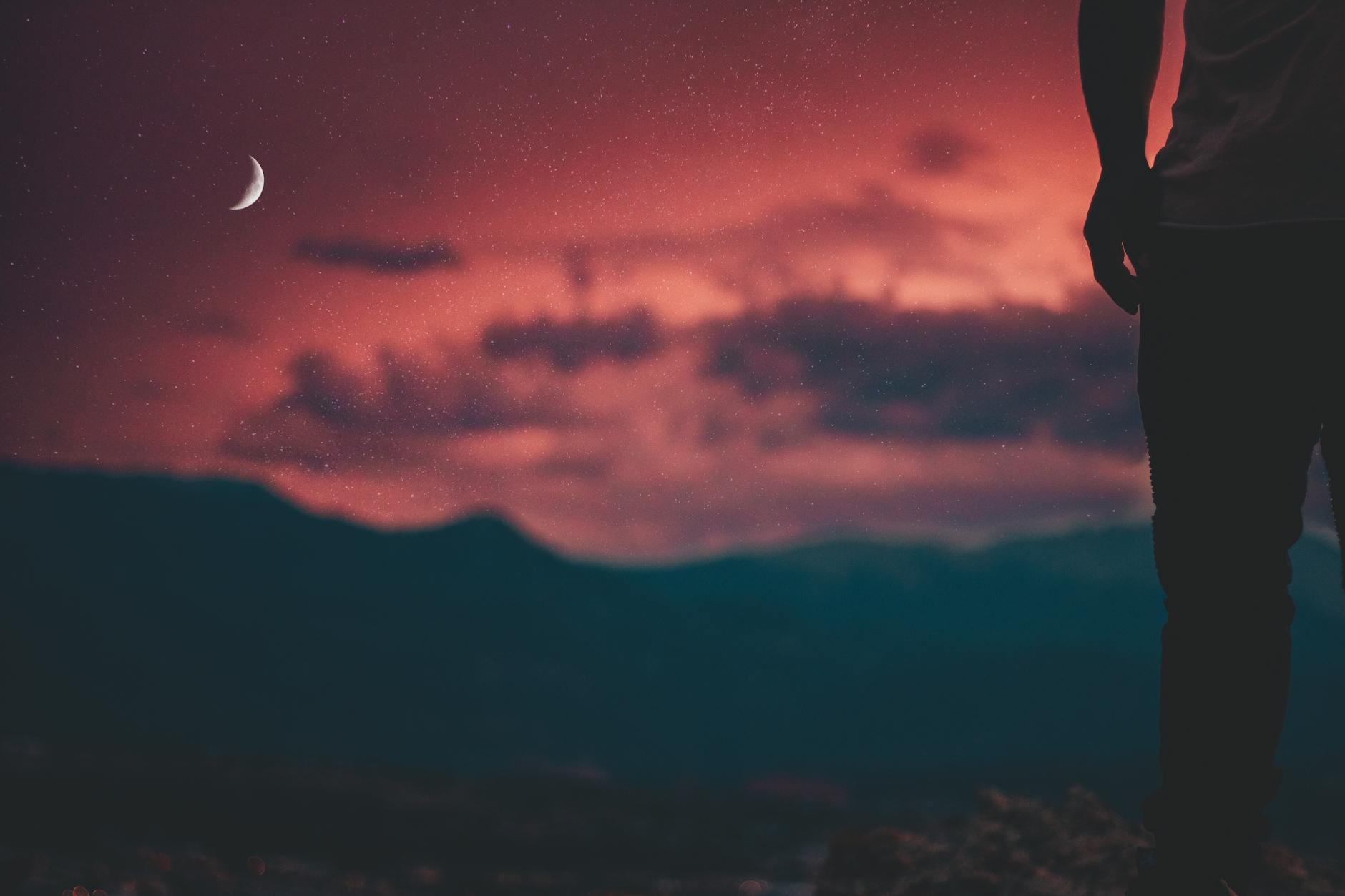Synced to Lunar Rhythms: How the Moon Affects Life on Earth