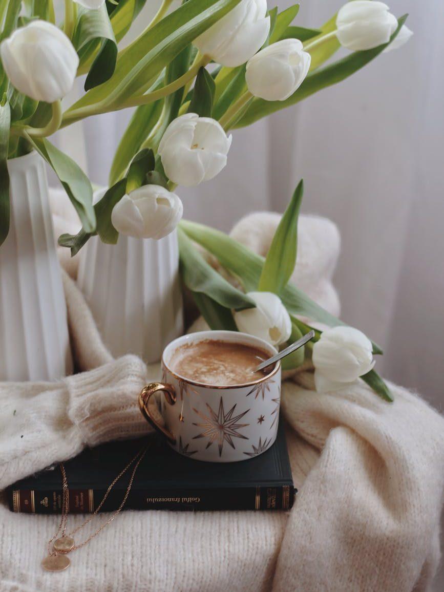 cup of cacao with book placed on knitted sweater near vases with flowers