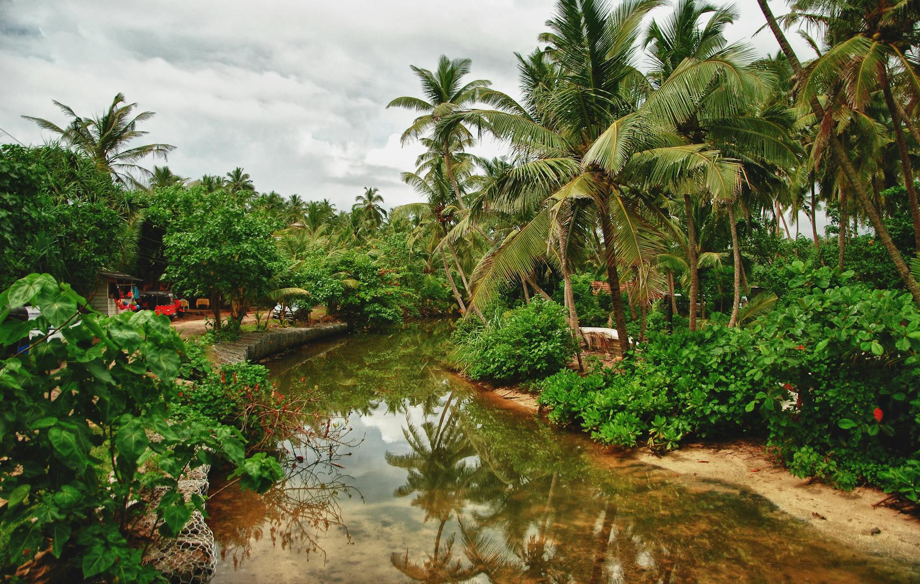 tropical greenery with river in village