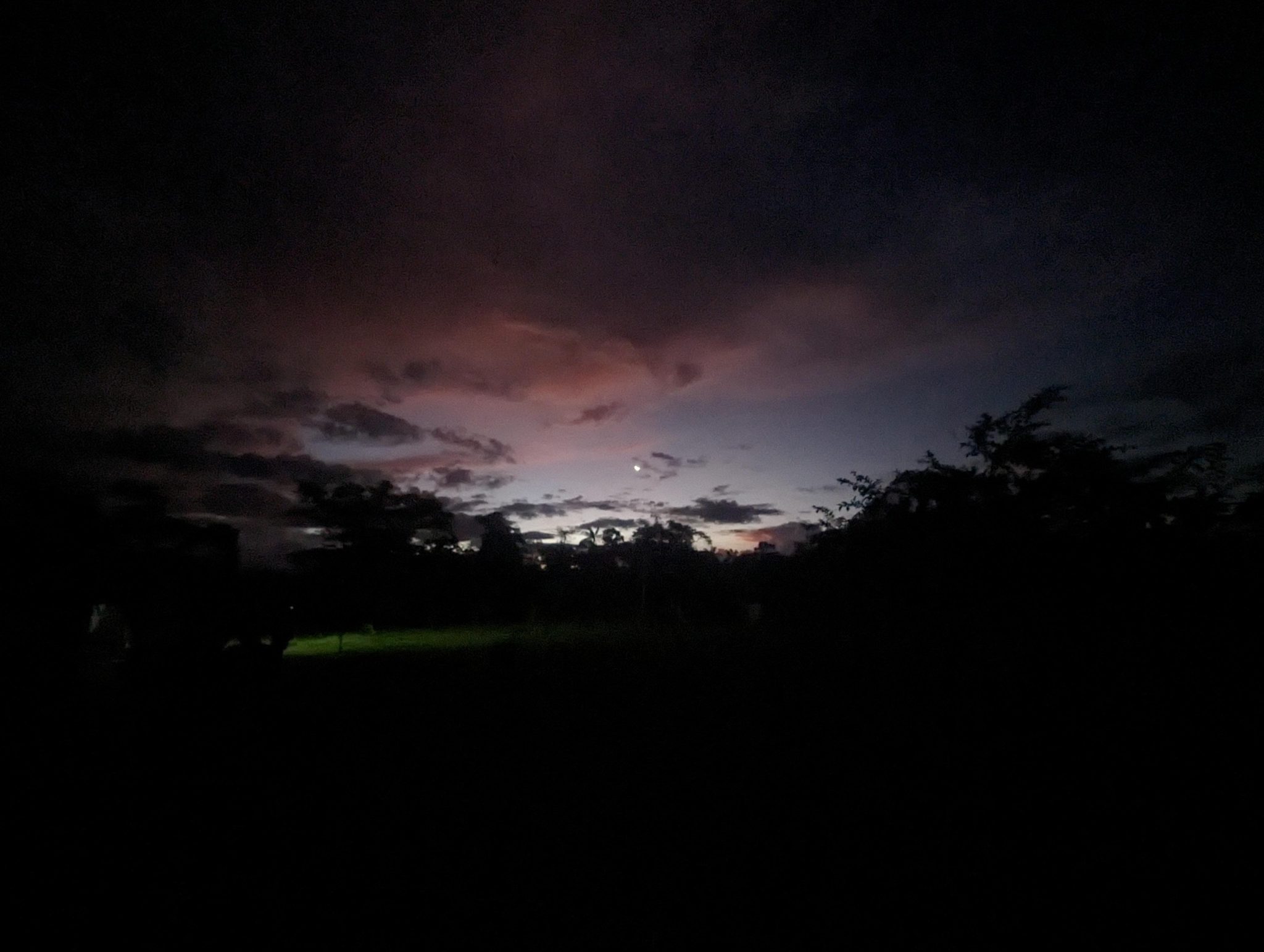 “Thank You Mama:” Recalling the Humbling Glories of Ayahuasca