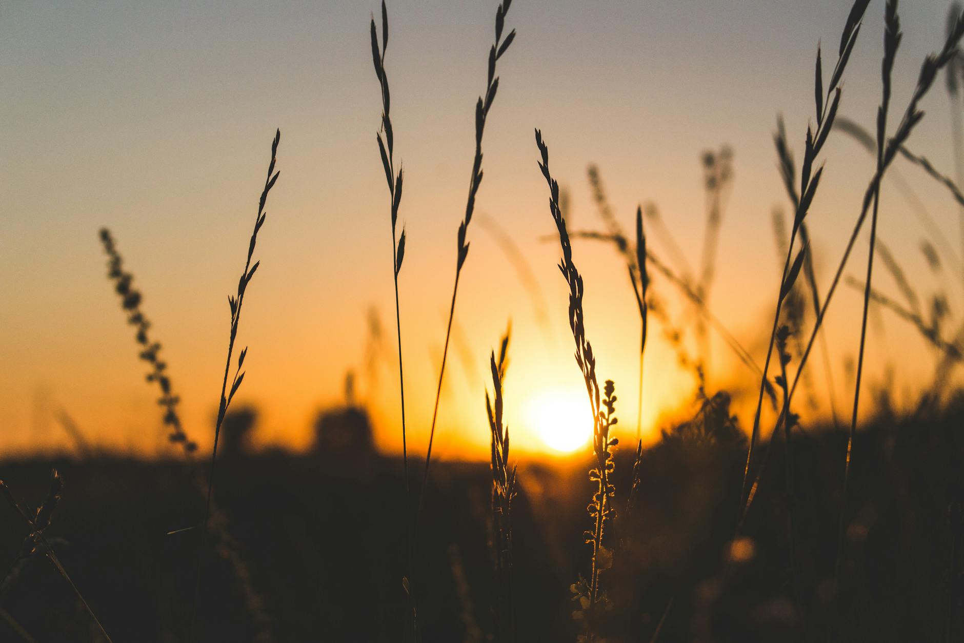 Relax and Sleep Well: The Benefits of an Evening Routine