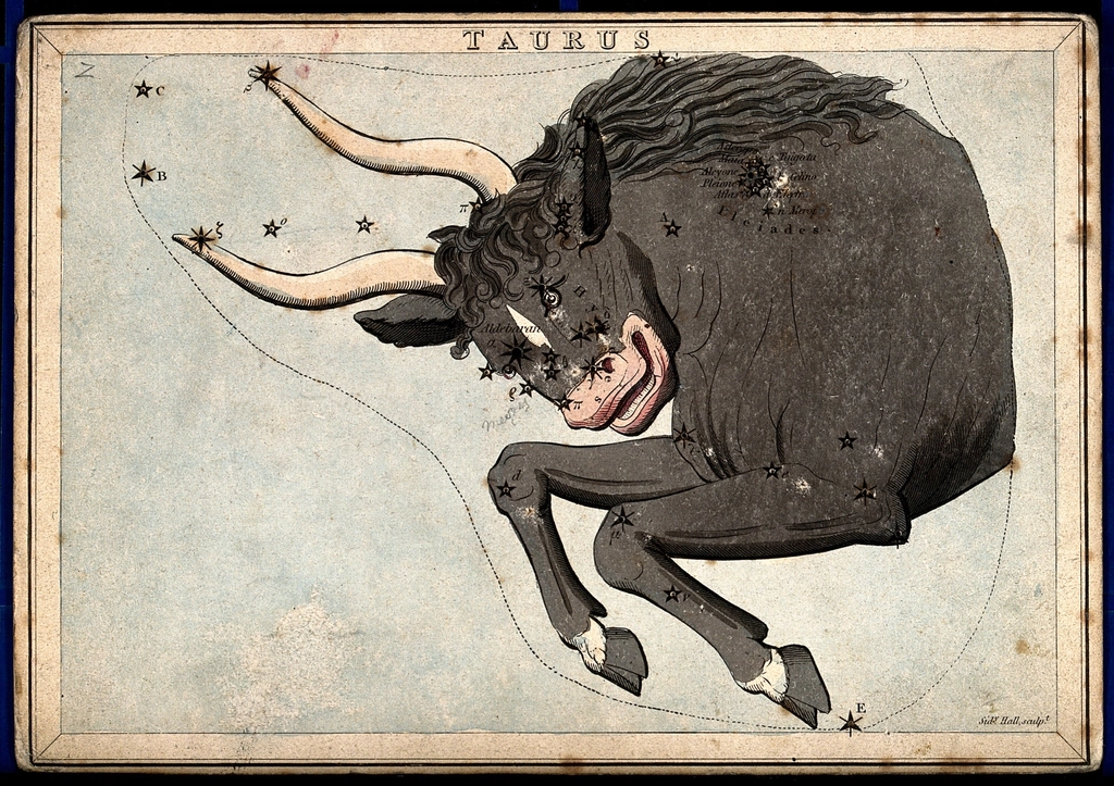 Astrology: signs zodiac, Taurus. Coloured, evoking: lost wisdom of the zodiac, Hellenistic astrology, and ancient astrology