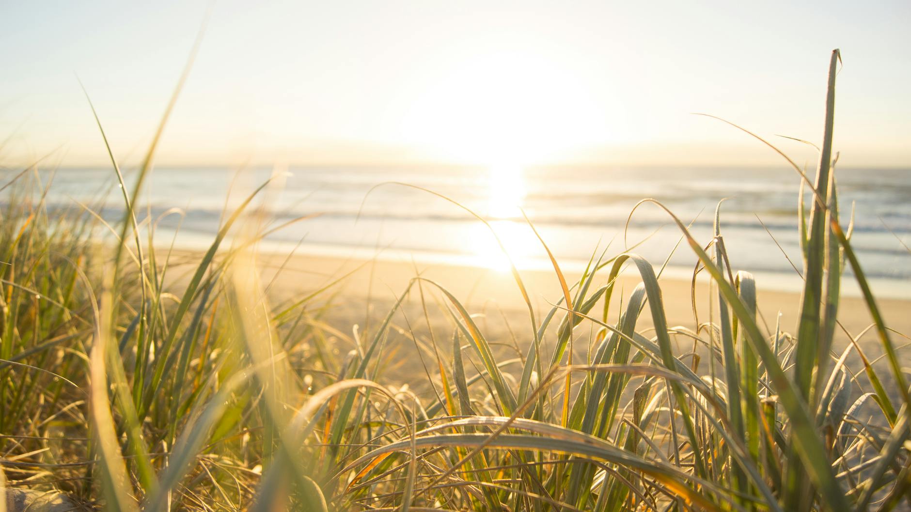 sea horizon, evoking: natural cycles, Wheel of the Year, seasonal traditions, Sabbats, and holidays.