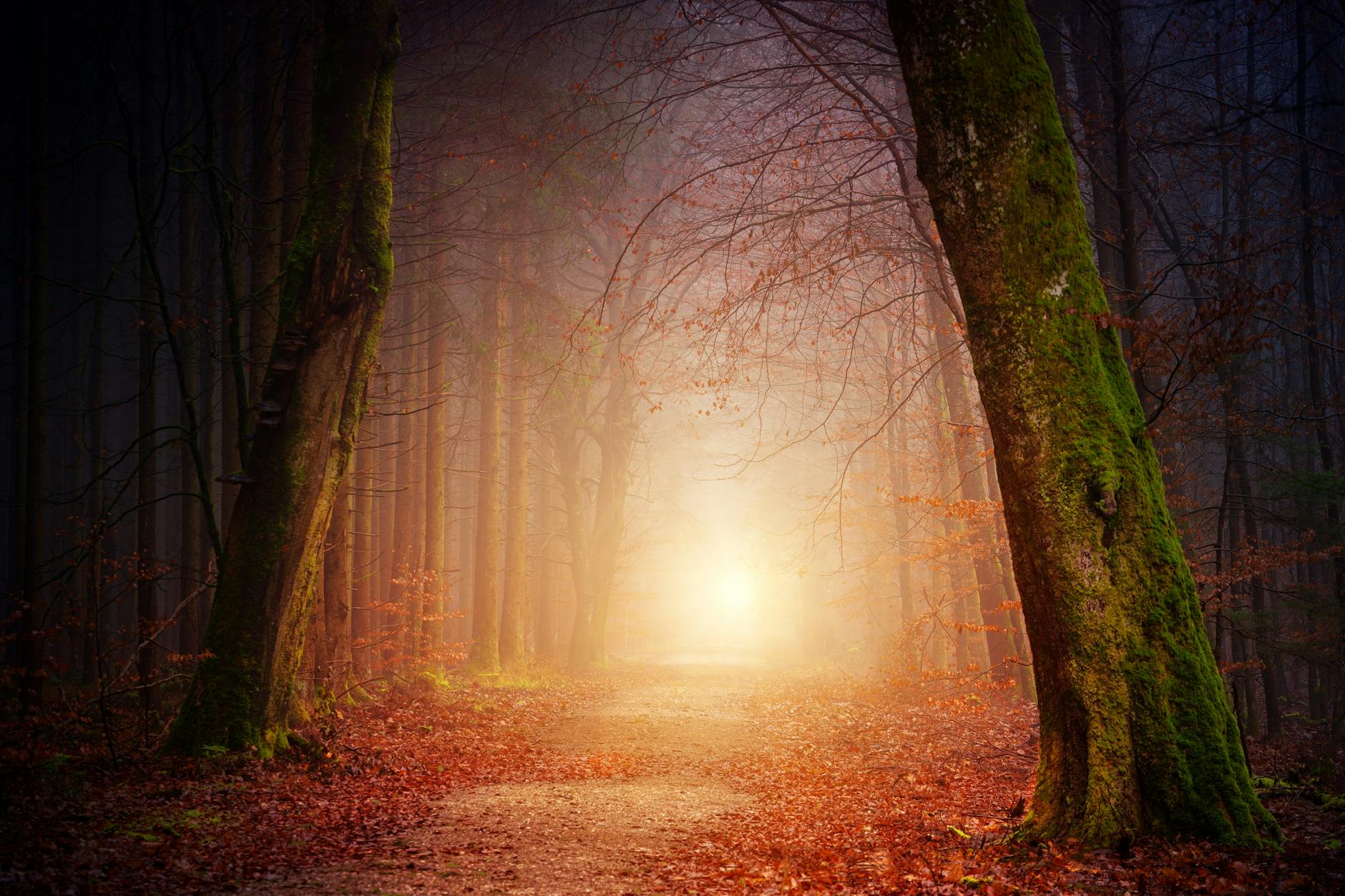 foggy path, evoking: natural cycles, Wheel of the Year, seasonal traditions, Sabbats, and holidays.