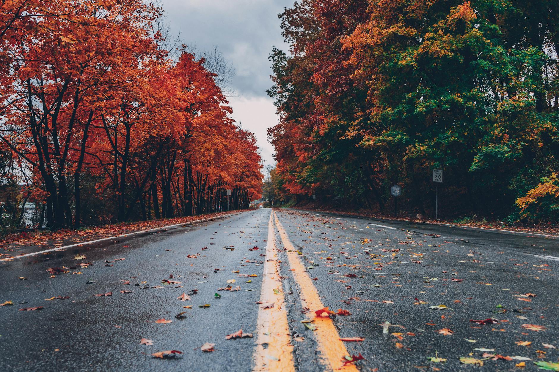 concrete road between trees, evoking: the Wheel of the Year, seasonal cycles, Sabbats, spiritual growth, and living seasonally