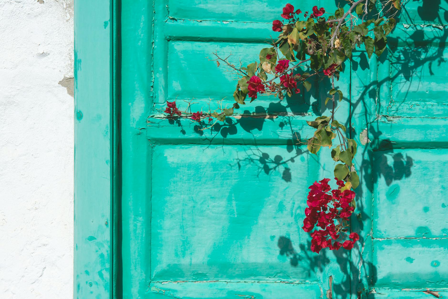 a green door with red flowers on it