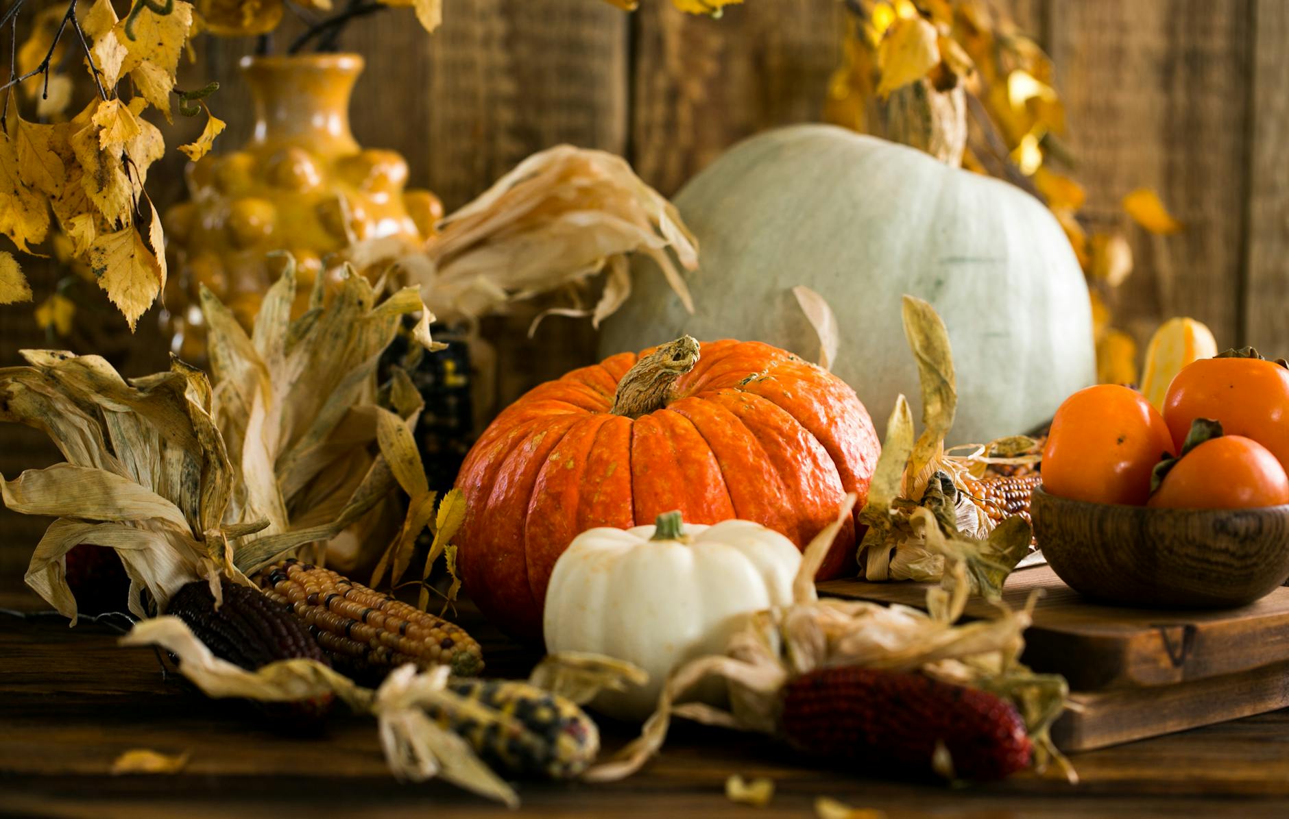 white and orange pumpkins on table, evoking: the Wheel of the Year, seasonal cycles, Sabbats, spiritual growth, and living seasonally