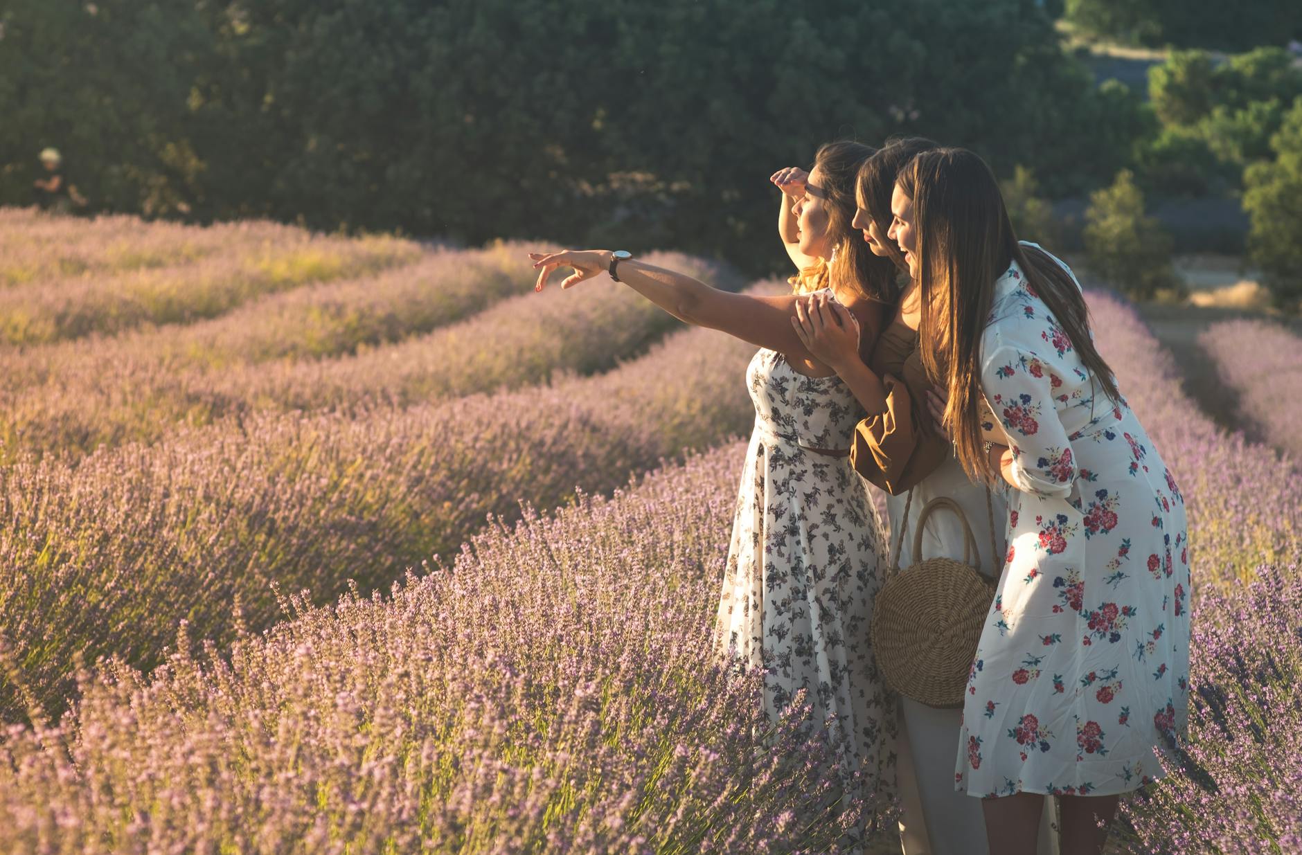 women in floral dress standing in lavender field, illustrating: the Wheel of the Year, seasonal awareness, seasonal wellbeing, living seasonally, and the Sabbats