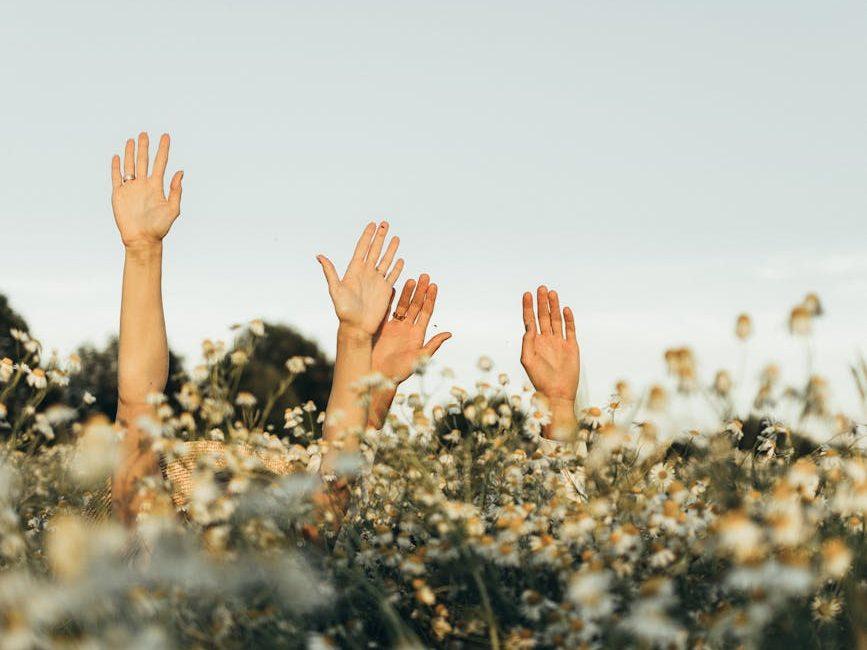 a couple playing hide and seek in the flower field, illustrating: gratitude as a spell, gratitude, manifestation, abundance mindset, and magical words