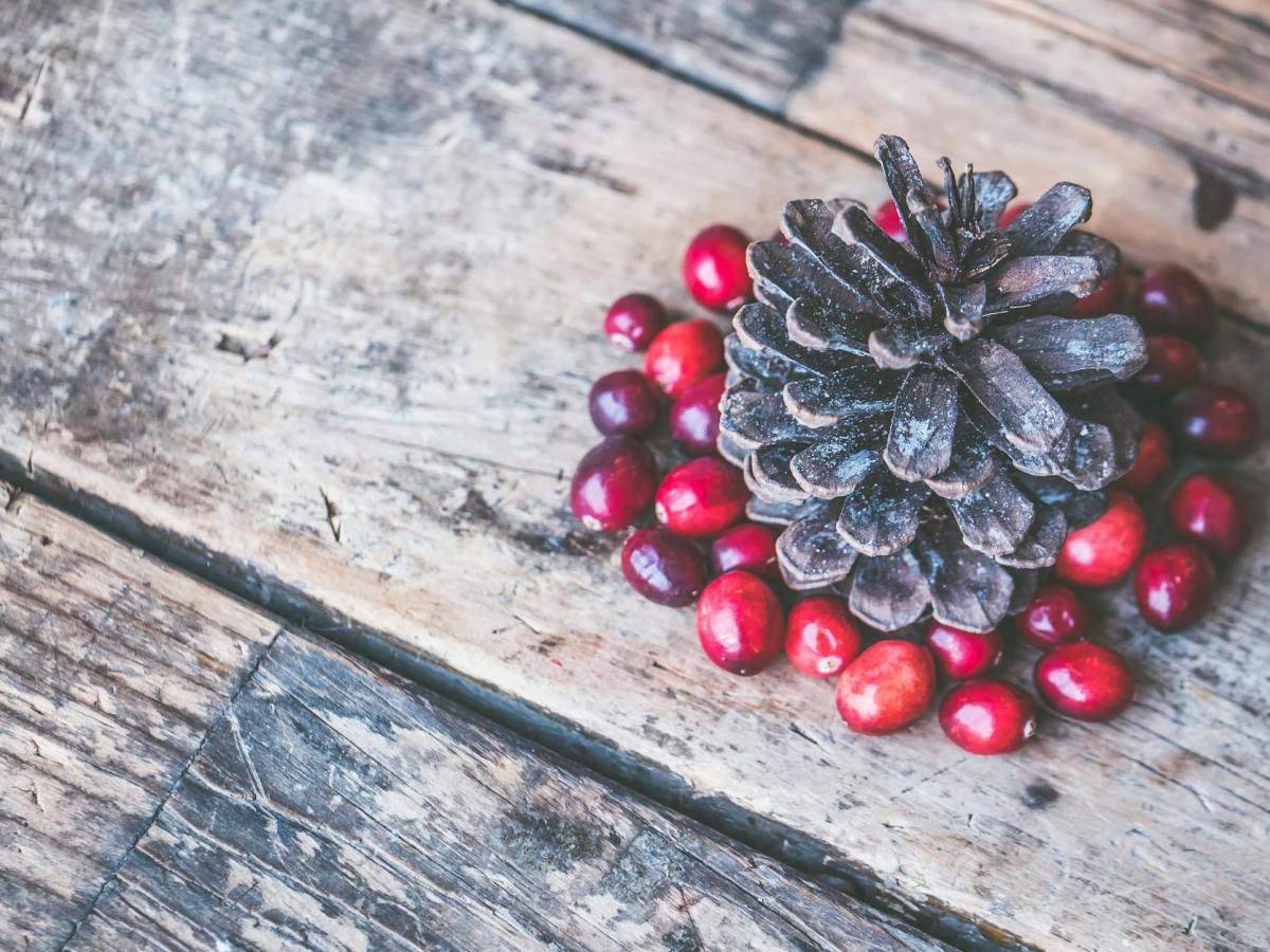 Make a Pine Cone Birdfeeder: Give Back to Nature for Samhain