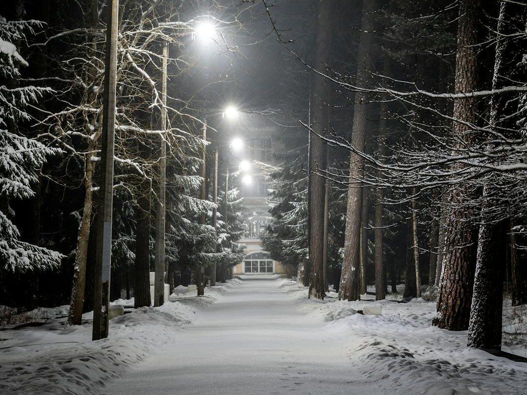 photo of pavement with street lights during winter, evoking: Winter Solstice, light’s rebirth, return of light, seasonal cycles, and solar renewal