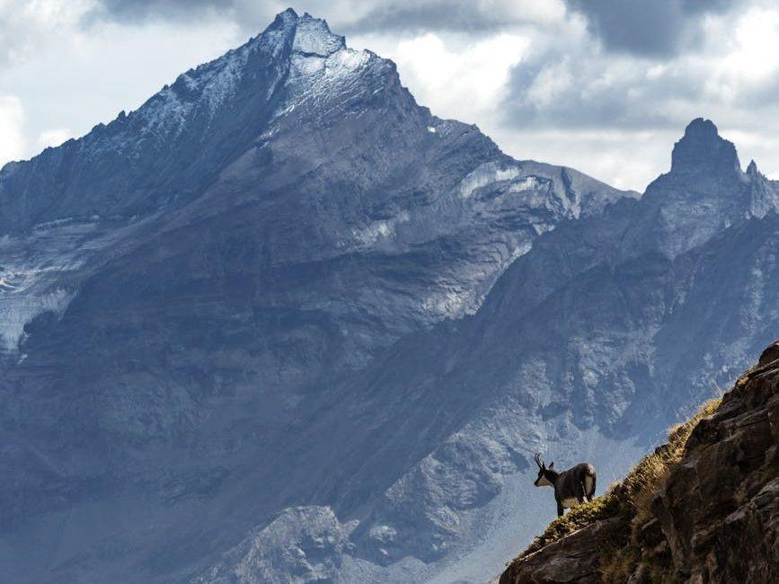 steep, evoking: Capricorn, winter solstice, zodiac, astrological sign, and the solar cycle
