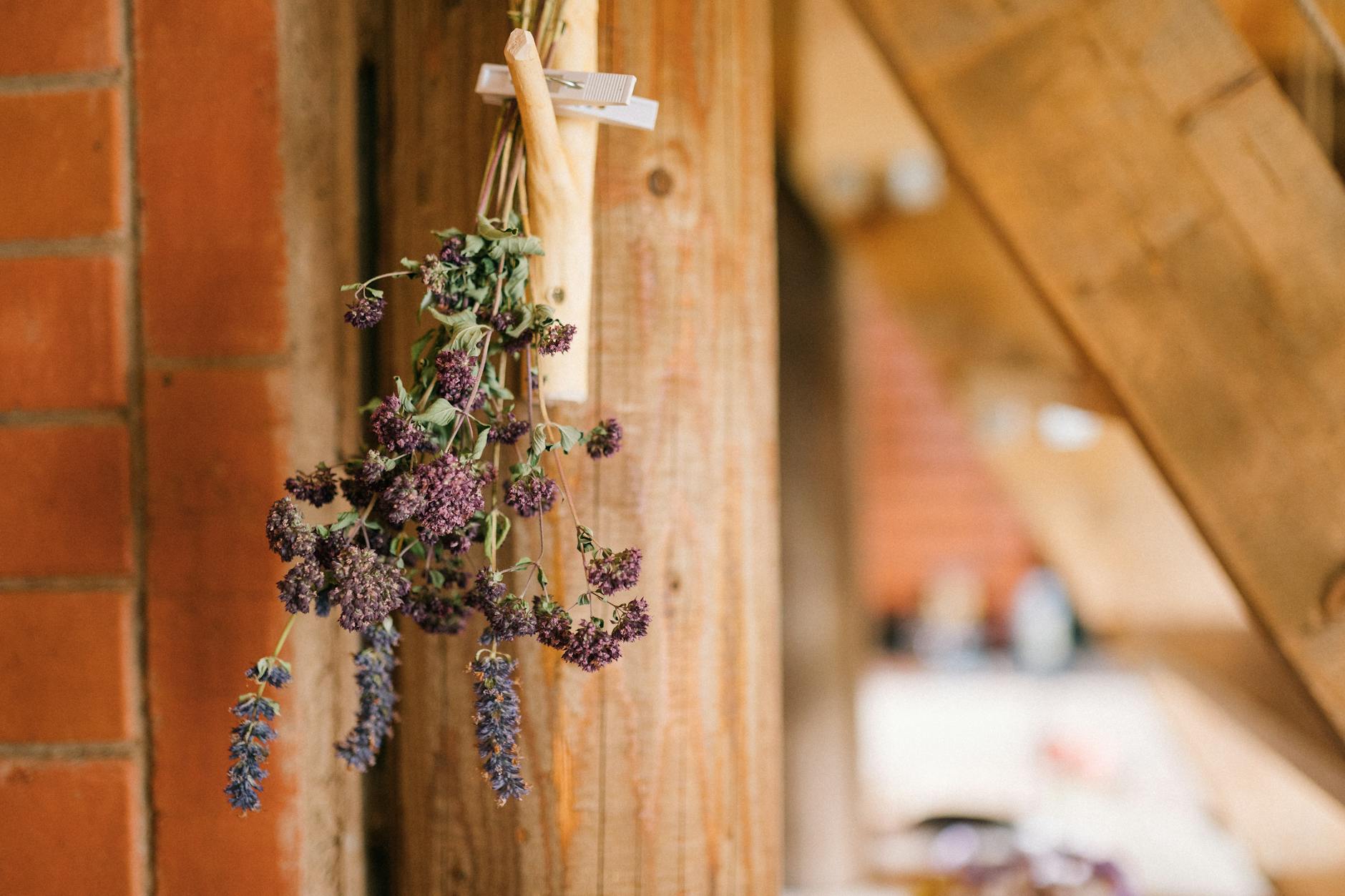 hanging flowers to dry