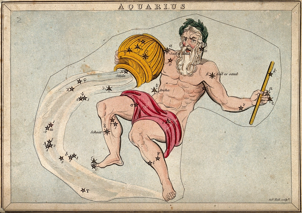Astrology: signs zodiac, Aquarius. Coloured, illustrating: Aquarius, visionary, Hellenistic Astrology, Zodiac Signs, and Aquarius Season
