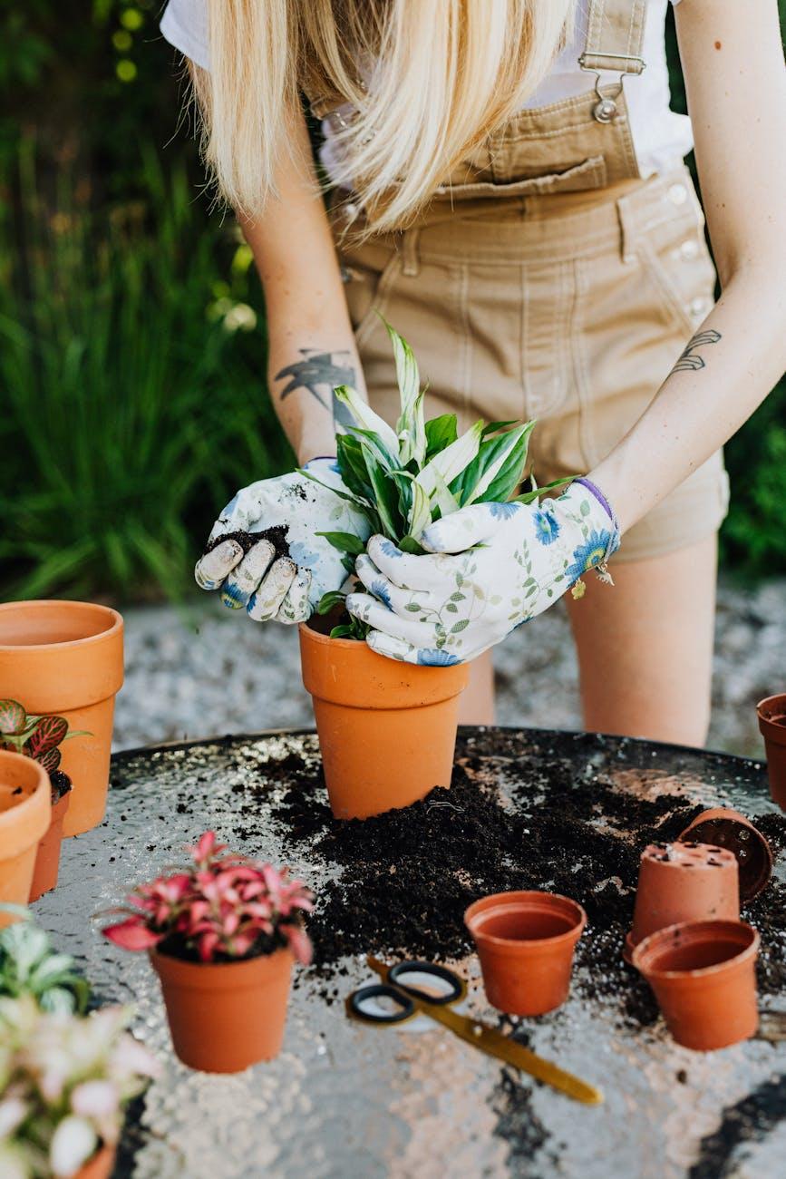 woman putting plants on pots, illustrating the lunar rulership of the zodiac sign cancer, its connection to the summer solstice in the wheel of the year, and its cardinal water qualities per Hellenistic astrology