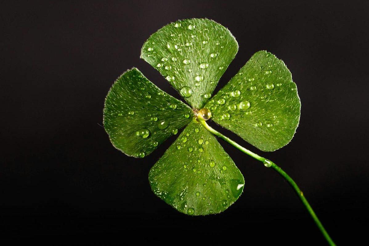 On Creating My Own Luck: Presence, Mindset, & Serendipity