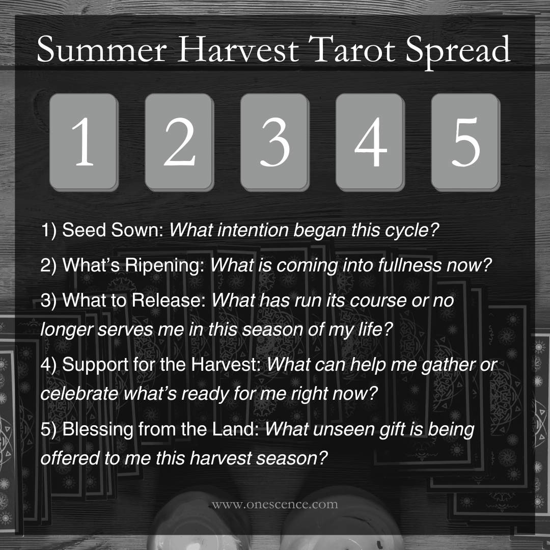 Summer Harvest Tarot Spread for considering harvest reflections, tarot spread, first harvest celebration, seasonal self-inquiry, and summer sabbat ritual