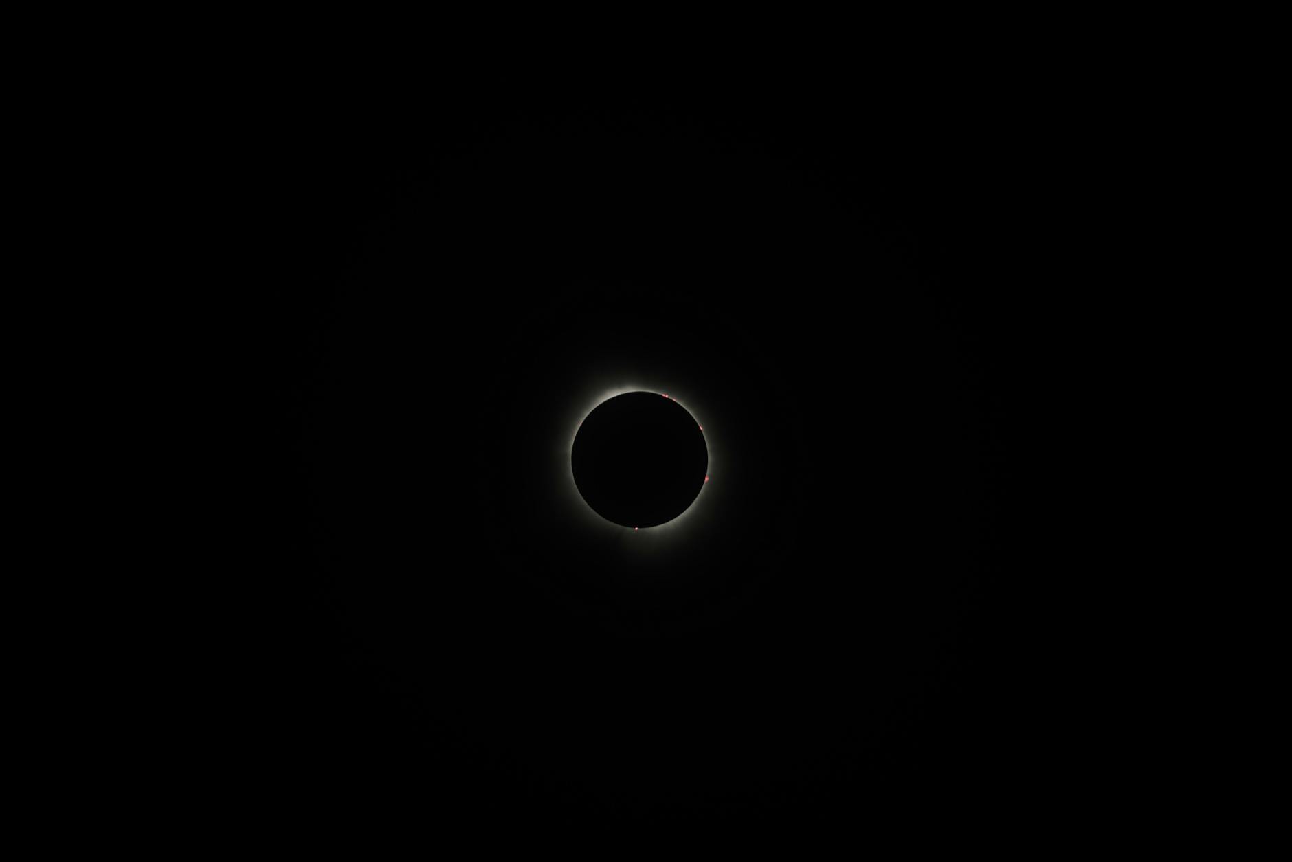 Leo new moon, encouraging reclaiming sovereignty, overcoming conditioning and learned helplessness, gaining confidence and living with authenticity