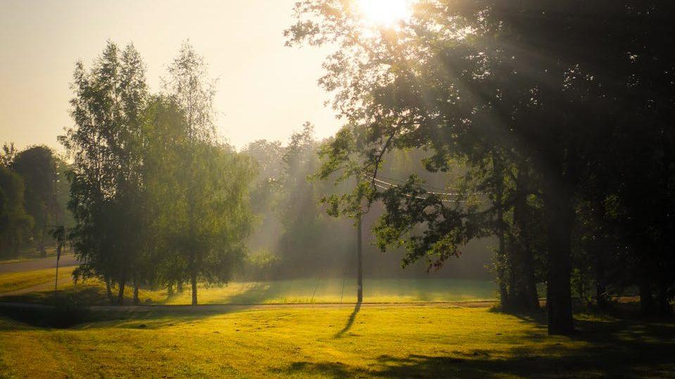 serene summer sunrise in a lush park, illustrating Virgo, Wheel of the Year, Hellenistic Astrology, Mutable Earth, and Virgo Season