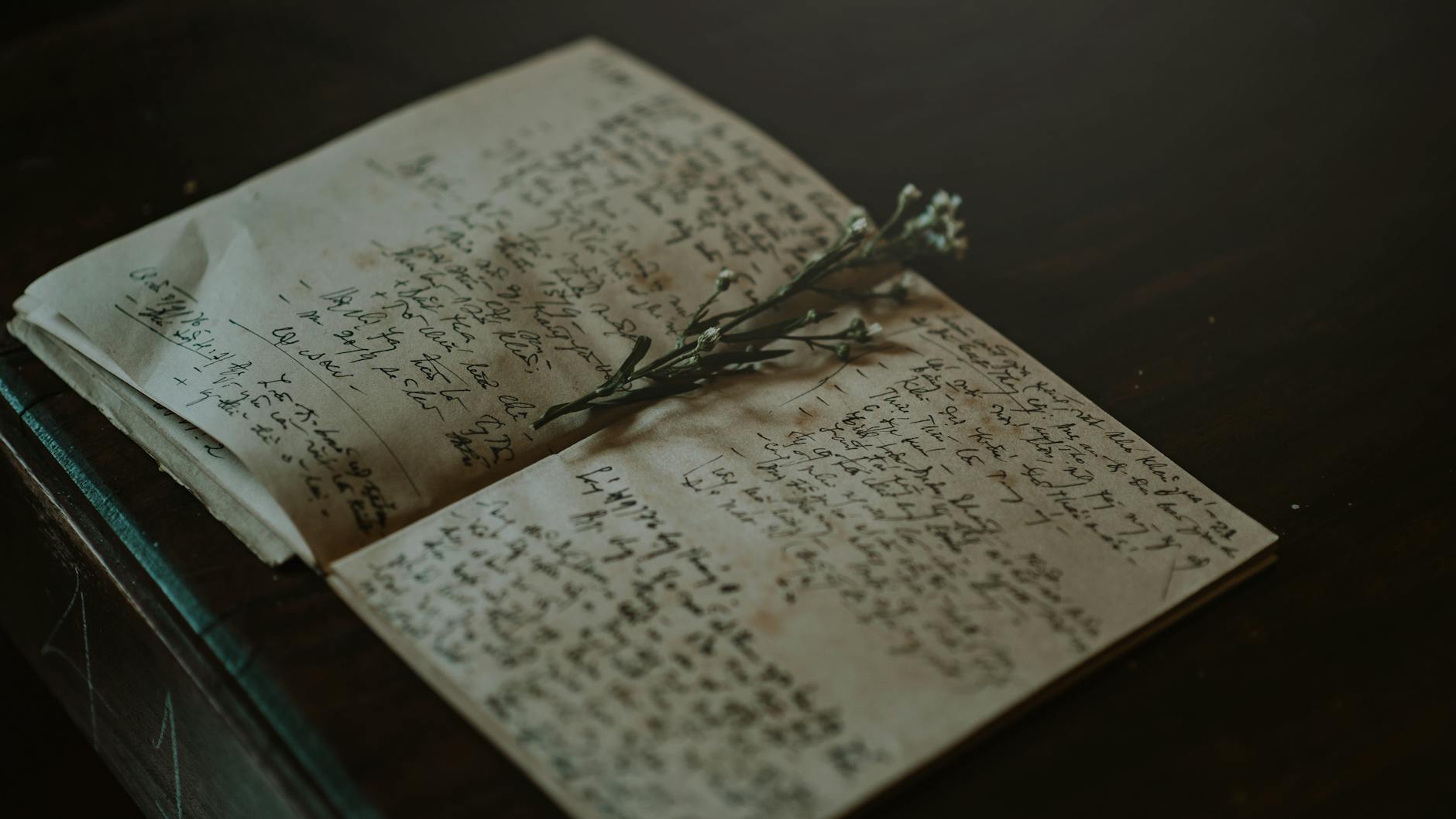 close up photo of white and black journal, illustrating Lion’s Gate Portal, Sirius star astrology, Lion's Gate spiritual meaning, manifestation rituals, and Lion's Gate rituals for spiritual transformation