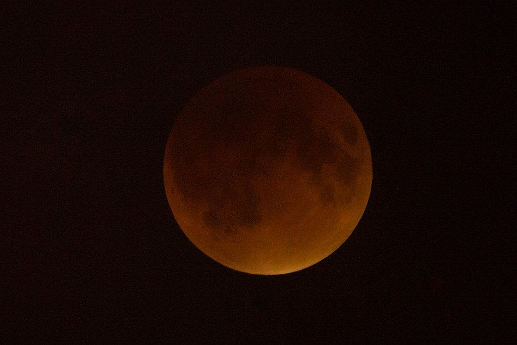 Pisces Lunar Eclipse Editorial: Pressure Before the Bloom