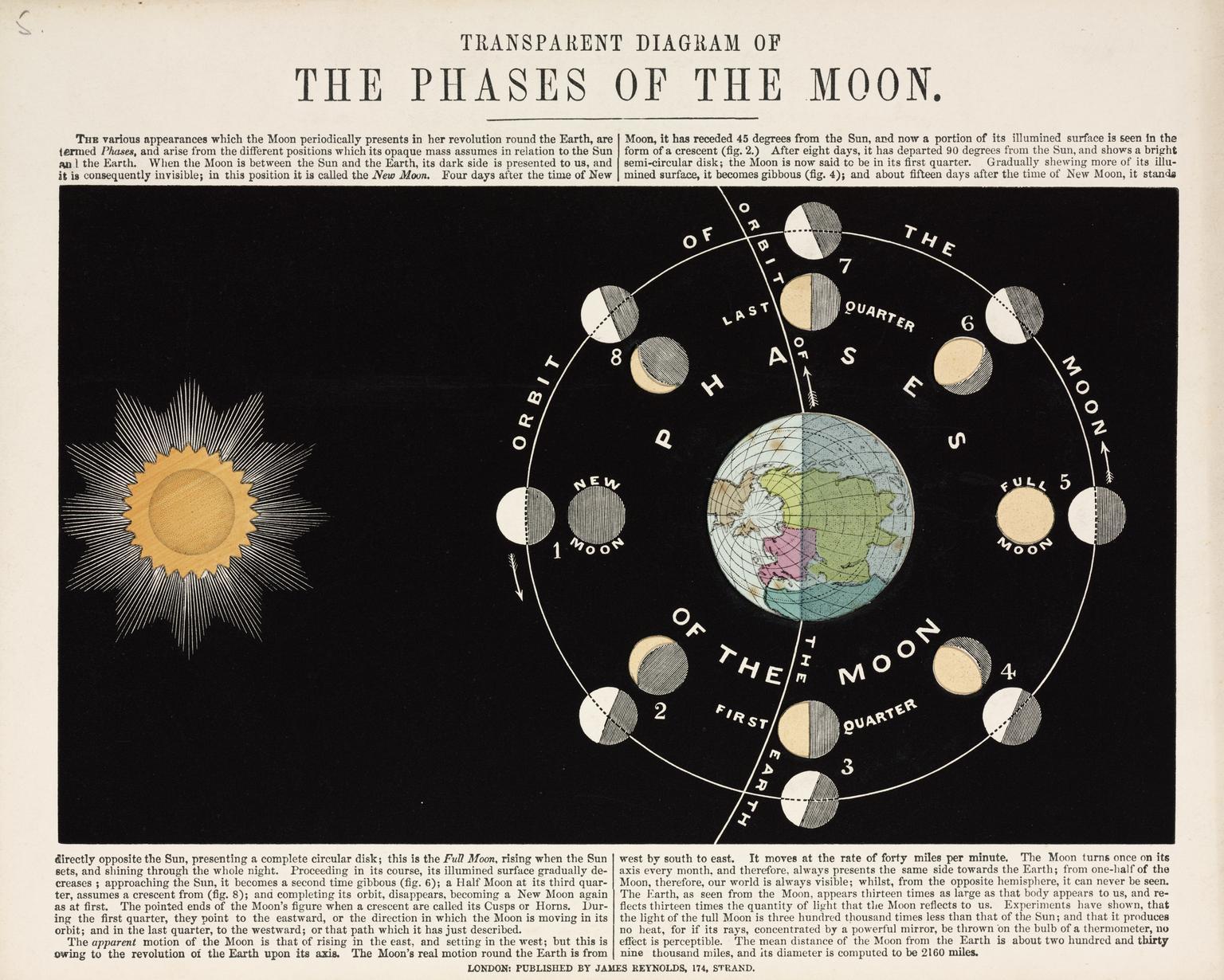 Transparent astronomical diagram of the Moon phases, showing: moon effects on humans, lunar rhythms, lunar phases and emotions, moon influence science, and moon biological rhythms