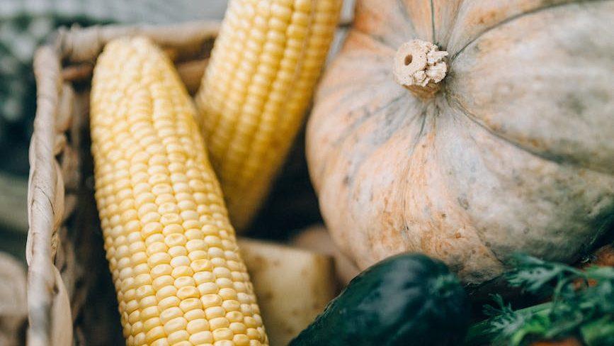 fresh vegetables on a woven basket, showing: ways to celebrate harvest, a stew recipe, a seasonal recipe, an autumn ritual, and celebrate Wheel of the Year