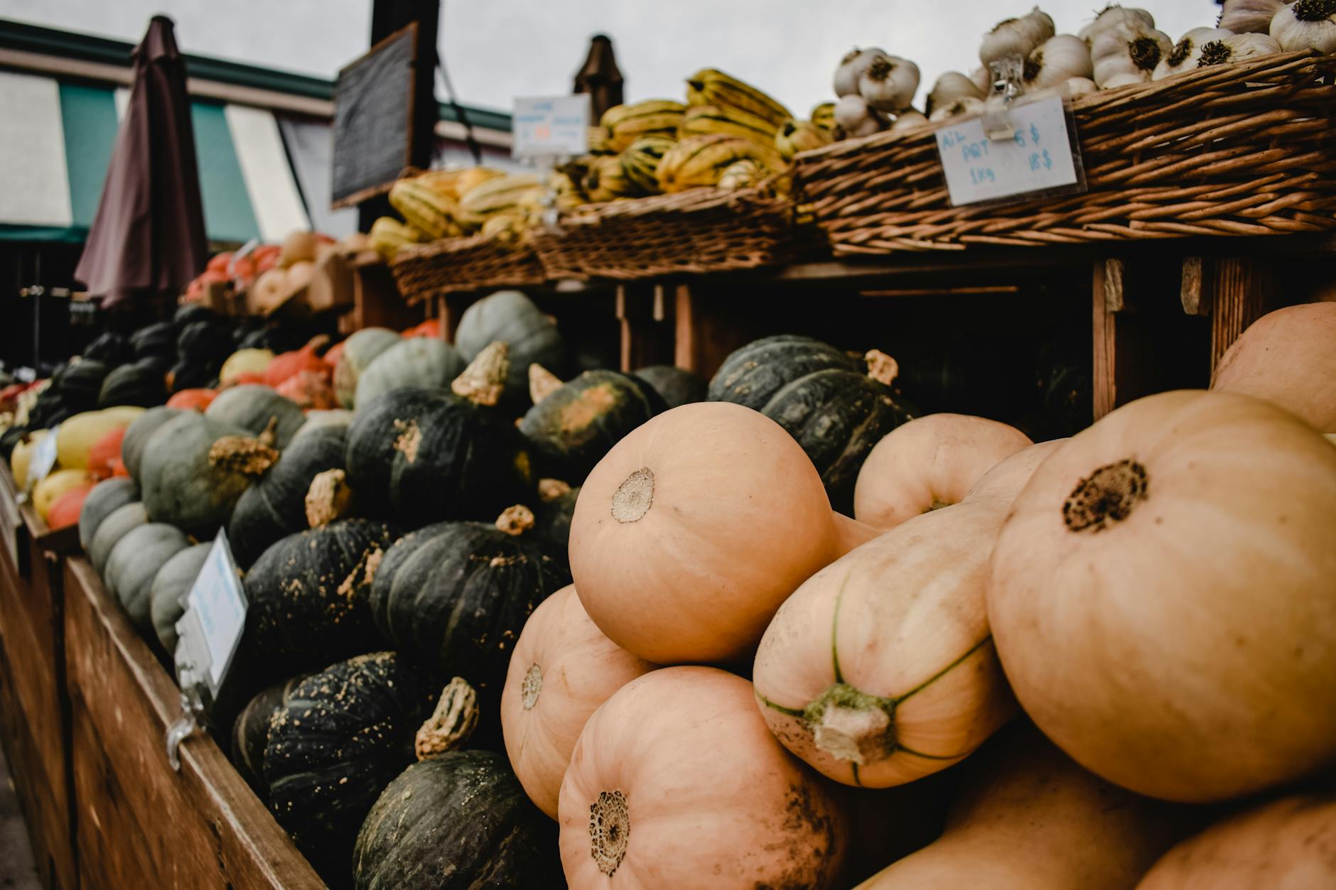 butternut squash and green pumpkins on display, showing: ways to celebrate harvest, a stew recipe, a seasonal recipe, an autumn ritual, and celebrate Wheel of the Year