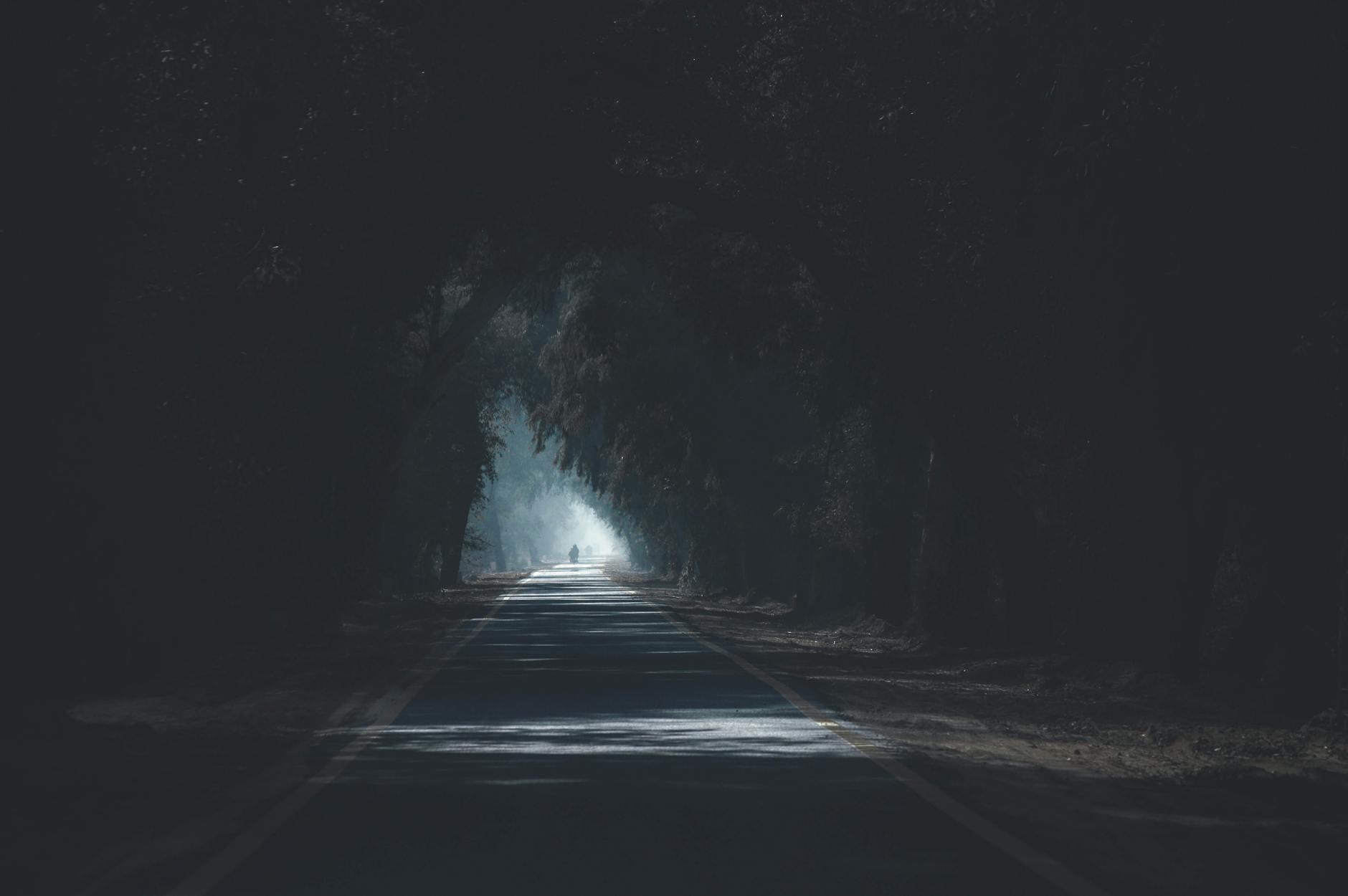concrete road surrounded by trees, illustrating: Libra, the Autumn Equinox, balance, harmony, and Hellenistic Astrology