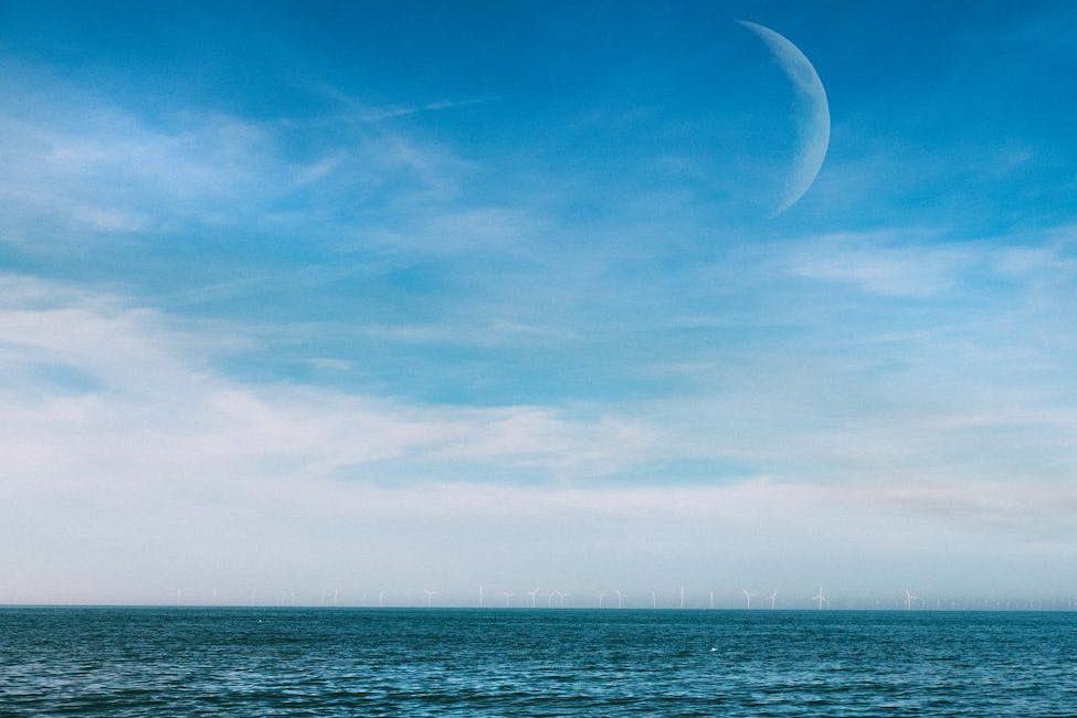 Bringing Refinement into Balance: A Libra New Moon Editorial