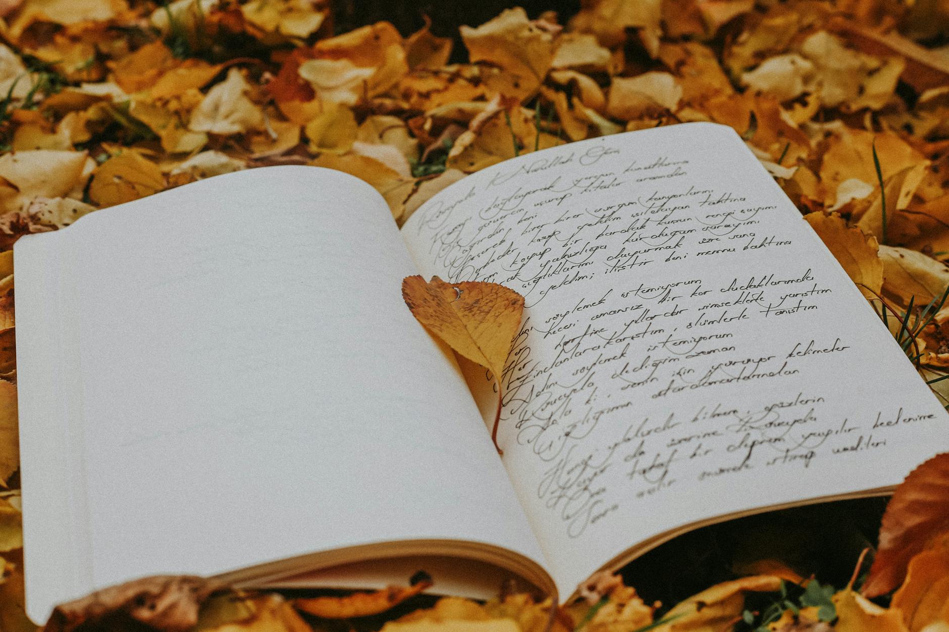 elegant autumn leaves with handwritten journal, evoking: sacred incense, incense for Samhain, ritual incense blend, herbal incense recipe, and ancestor offering incense