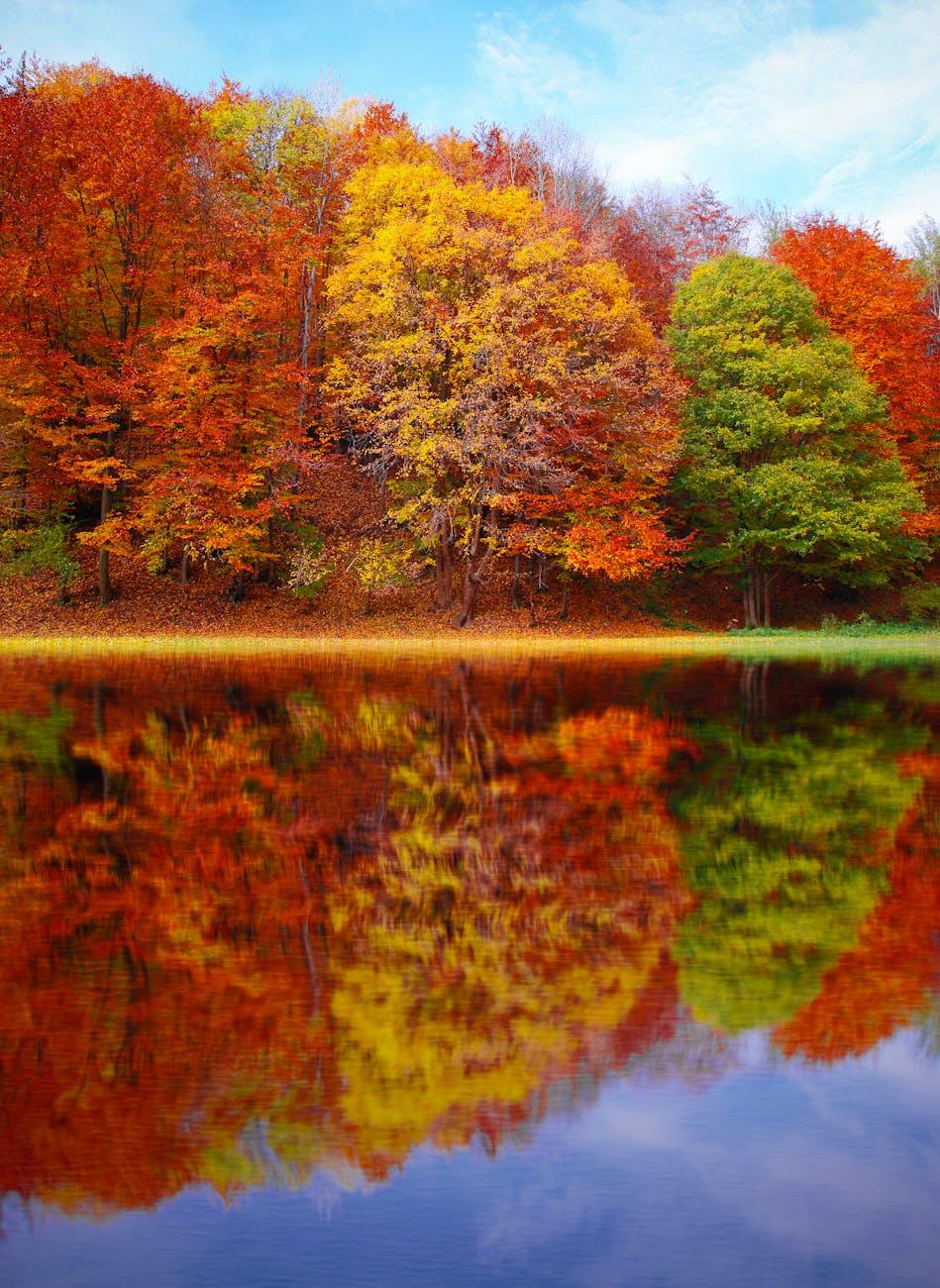 autumn, evoking: Year and a Day, Witches' New Year, devotional practice, spiritual commitment, and spiritual growth