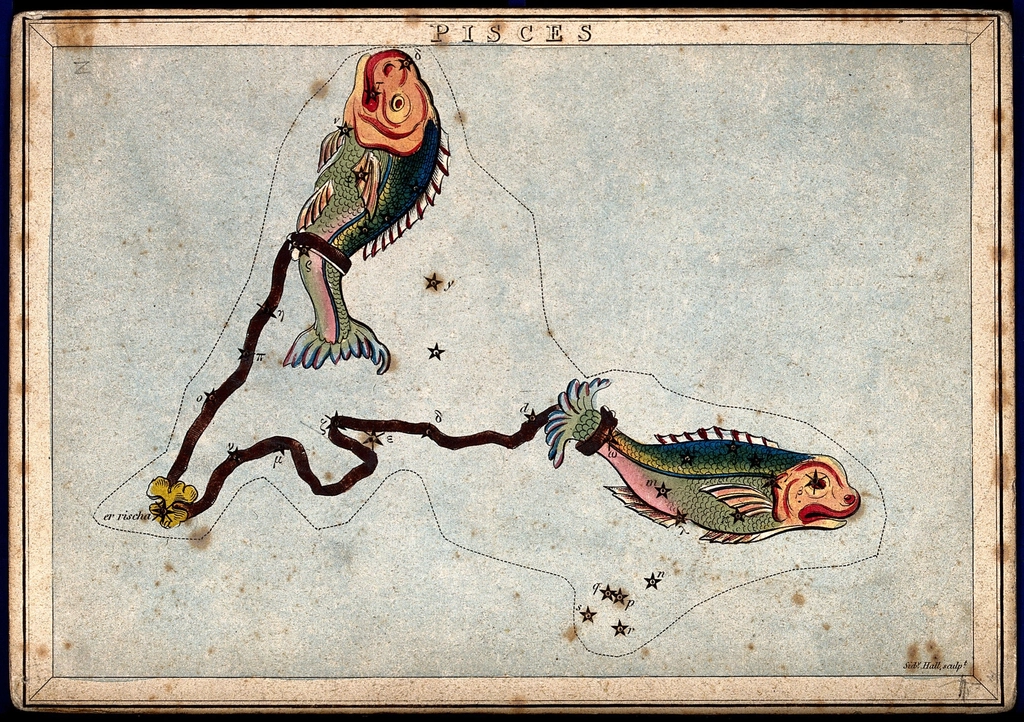 Astrology: signs zodiac, Pisces. Coloured, illustrating: Pisces energy, total dissolution, return of light, Pisces zodiac sign, and Pisces season